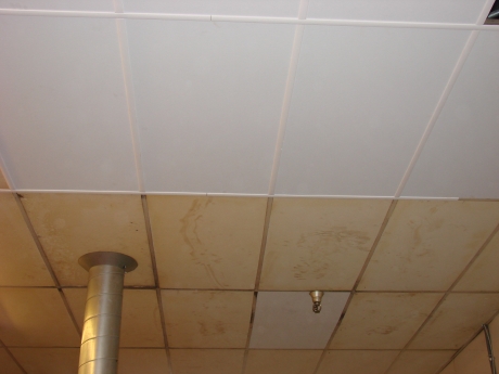 new-replacement-ceiling1